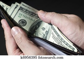 Wallet Money Wallet Money