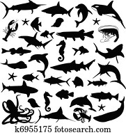 חיות ימיות, צלליות