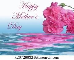 dia mãe feliz, cravo côr-de-rosa