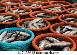 Big pile sea fish in basket on a fish market