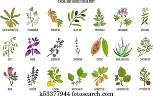 הכי טוב, דשא, ל, יופי דואג