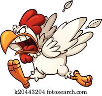 Angry chicken Angry chicken