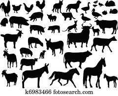Farm animals Farm animals