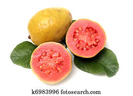 Fresh Guava fruit with leaves on white background Fresh Guava fruit with leaves on white background