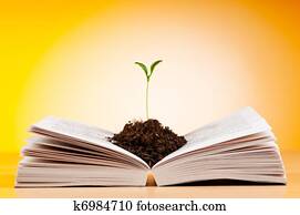 Knowledge concept with books and seedlings Knowledge concept with books and seedlings