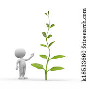 Plant Plant