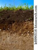 A cut of soil