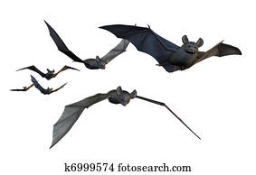 Bats Flying - on White Bats Flying - on White