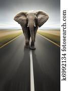 Conceptual - Heavy duty transport / travel by road