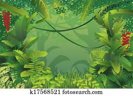 exoticas, floresta tropical