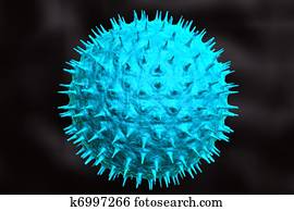 virus virus