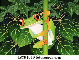 Beautiful frog Beautiful frog