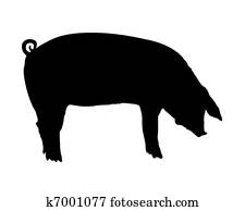 Pig Pig