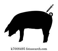 schwein, erhält, ein, impfung, because, von, schwein, schnupfen