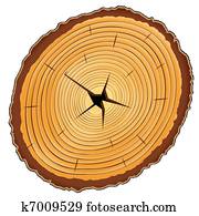 wooden cross section