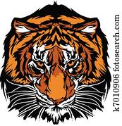 cabeça tigre, gráfico, mascote