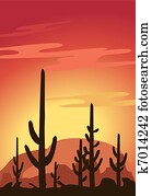 Cactus and Desert 