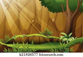 Jungle Jungle