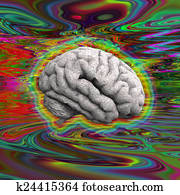 Psychedelic Brain Psychedelic Brain