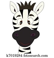 Zebra cartoon Zebra cartoon