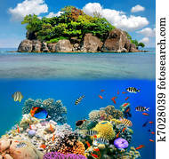 Tropical paradise Tropical paradise