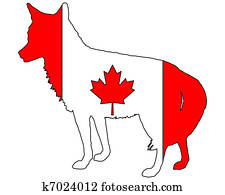 זאב ערבות, קנדה