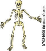 ציור היתולי, שלד