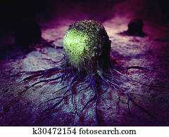 cancer cell cancer cell