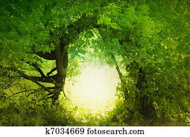 Door to the fairy land Door to the fairy land