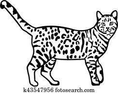 Leopard bengal cat Leopard bengal cat