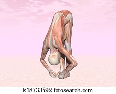 גדול, אצבעות רגל, יוגה מניחה, ל, אישה, עם, שריר, נראה