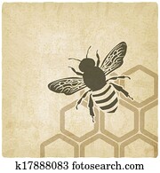 דבורה, ישן, רקע