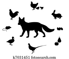 שועל, דיאטה