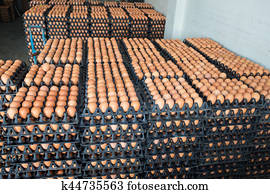 Eggs from chicken farm in the package that preserved for sale. Eggs from chicken farm in the package that preserved for sale.
