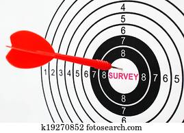 Survey target Survey target