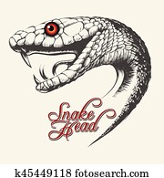 נחש, הובל, דוגמה