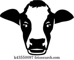 Cow head real Cow head real