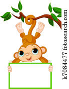 Baby monkey on a tree holding blank Baby monkey on a tree holding blank