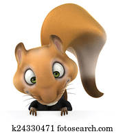 Fun squirrel Fun squirrel