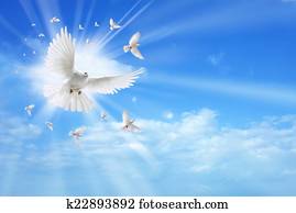 Holy spirit dove flying in the sky Holy spirit dove flying in the sky