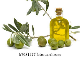 olive oil olive oil