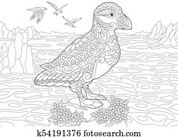 papageitaucher, see vogel papageitaucher, see vogel