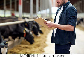 agricultor, com, área de transferência, e, vacas, em, cowshed, ligado, fazenda