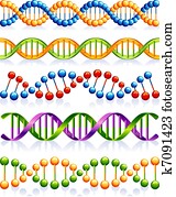 DNA DNA
