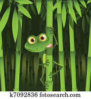 frog frog
