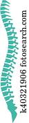 human spine vector icon human spine vector icon