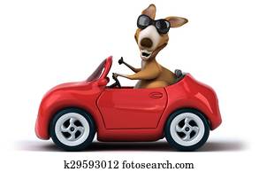 Fun kangaroo Fun kangaroo