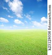 grass and sky background