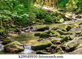 green moss on rocks near a stream