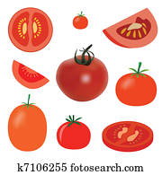 tomato tomato